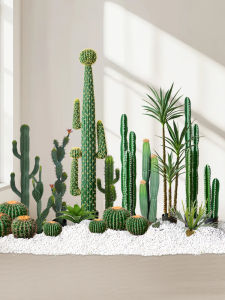 LIANYOU | Simulation Cactus Interior Decoration