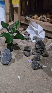 HARDSCAPE PRO Cyanoacrylate Adhesive 50g – Super Strong Fast-Drying All-Purpose Glue for Aquascaping