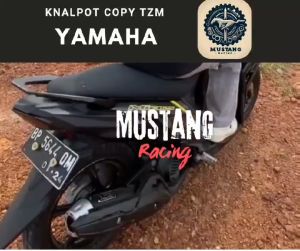 Knalpot Tzm Yamaha Mio Sporty M3 Soul GT