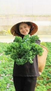 Bột Rau Củ Tổng hợp Dalahouse gồm 15 loại rau củ hữu cơ siêu năng lượng bảo vệ sức khỏe cả gia đình