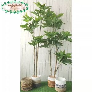 Pohon Hias Imitasi Daun Manggis Variasi Tinggi 150 & 170 Cover Seagrass Hiasan Sudut Ruang Tamu