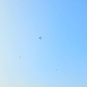 Diều Cún Kute Baby Dog Khổng Lồ