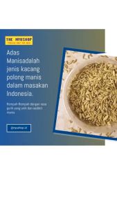 Adas Manis 100gr rempah bumbu dapur aneka bumbu dapur dan bahan masak
