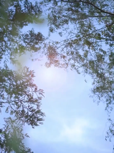 【2 Day Doorstep Delivery】Household small double door refrigerator/Level 1 energy efficiency and energy-saving/equipped with refrigeration and freezing functions