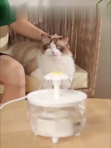 【รับประกัน 1 ปี】น้ำพุสัตว์เลี้ยงอัตโนมัติ วัสดุที่เป็นมิตรต่อสิ่งแวดล้อม ปลอดภัยและเงียบ น้ำดื่มหลากหลาย 3 วิธีในการดื่มน้ำ การกรองแบบหมุนเวียน น้ำทุกหยดคือน้ำจืด น้ำพุแมว น้ำพุสัตว์เลี้ยง