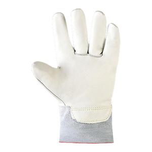 Anti-Cold Waterproof Insulated Gloves