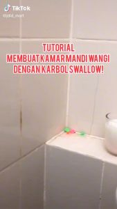 Kamper Swallow Bola Isi 6 toilet Colour ball