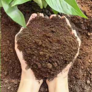 Organic Specialized Vegetable Growing Soil
