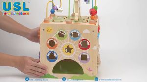 5-In-1 Toy Box | Wooden Puzzle | Beads | Shape Sorting | Number Matching