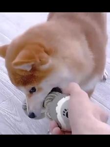 DÂY GẶM BANH TENNIS 2 ĐẦU DÂY THỪNG GẶM ĐỒ CHƠI CHO CHÓ GẶM SẠCH RĂNG-HAUSE