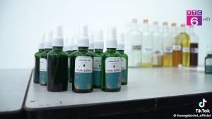 TINH DẦU thiên nhiên MÙA ĐÔNG  50ml - khử mùi hôi vi khuẩn giúp thơm phòng đuổi muỗi và các loại côn trùng - Tràm Bạc Hà Sả chanh