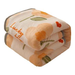 Ốp Chăn Nhung Sữa 2 Mặt Chăn Nhung San Hô Chăn Ga Gối Nhung Đơn Ốp Chăn Ngủ Ký Túc Xá