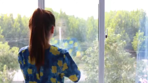 GEM - STIKER KACA | SANBLAST STIKER KACA | STICKER KACA | STIKER JENDELA | STIKER KACA BAMBU | STIKER KACA BUNGA | SUNBLAS KACA