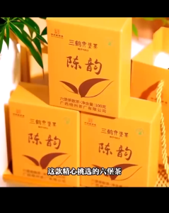 Tea/Liu Bao Tea【三鹤2020年陈韵特级茶】广西梧州六堡茶 100g/盒