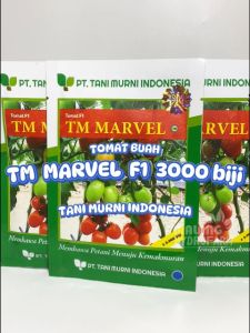 Benih Tomat Buah TM Marvel 3.000 b Tani Murni dataran menengah tinggi bibit biji sayur jus bareto hydroponik hidroponik