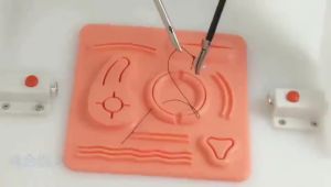 Skin Suture Training Model Laparoscopic Simulation Stitching Module 3D Silicone Reusable for Suture Training to Medical Student