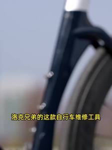 Rockbros bicycle repair tool kits 72 tooth ratchet wrench set Torque screwdriver motorcycle repair kit portable maintenance tool