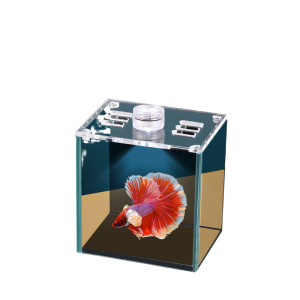 VOA | Transparent Glass Aquarium Small Ecological Betta Fish Tank Turtle Breeding Tank