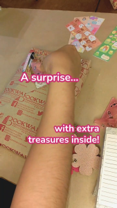 Blind Book Gift - Mystery Surprise Book Gift - Perfect for Book Lovers