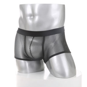 Mens Underwear Fishnet See Through Boxer Shorts Breathable Underpants Male Sheer Panties