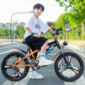SHIYINBEIBI | Childrens Mountain Bike with Gears Disc Brakes Suspension 20inch