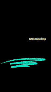 Edelweis bunga kering Bahan buket  mahar rustic