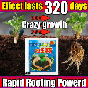 【Crazy Rooting】100 Packs 生根粉 rooting king original baja penggalak akar pokok rooting powder rooting king powder original 生根液