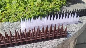 43cm Deterrent Spikes / Outdoor Anti-Climb Plastic Security Strips / Fence Wall Birds Pigeon Cat Proof Repelling Spike