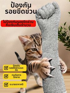 Pet Proofing Scratch Resistant Gloves