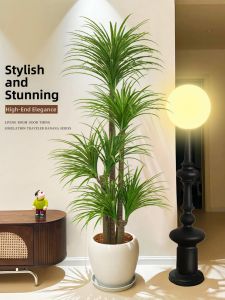 High-end Luxury Indoor Fake Dracaena Decorative Piece