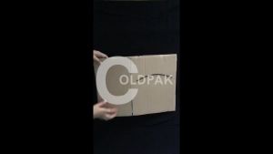 COLDPAK Thermal Insulated Box Tali Packaging Pengiriman Makanan Tahan Dingin