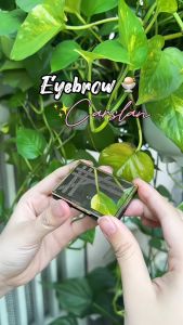 Phấn kẻ lông mày dạng bột CARSLAN hộp 2 màu tiện lợi lâu trôi kèm cọ vẽ