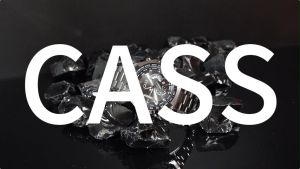 Jam Tangan Pria Dewasa Anti Air Gerakan Impor Kuarsa Kuarsa Otomatis Pria Retro -Nilai Tinggi Nilai Anti -Feshion Fashion Mens Watch