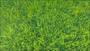 6pcs Green Artificial Plastic Lawn Squares - DIY Grass Mat No Electricity Needed Plastic Material Ideal for Garden Outdoor Ground Decor Outdoor Decor|Natural Grass Appearance|Plastic Construction Artificial Grass Lawn