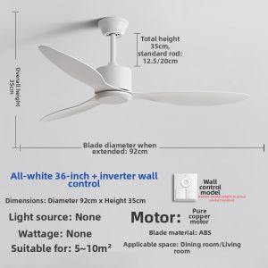 KAIYE | Remote Commercial Large Wind Force Fan