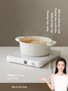 Olayks | Multifunction Integrated Electric Stove