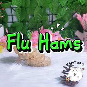 Flu Hams Obat Anti Flu Hamster Terbaik