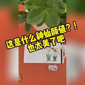 IDEAPLUS Portable Travel Watercolour Paint Set 10/12/16 Grids Empty Dispenser Palette Subpackage Magnetic Clamp Kettle