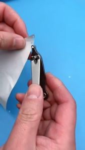 2mm Stainless Toe Puncher for Chicks Nail Cutter Type Wingband Applicator Poultry Feet Marking for Chicken Gamefowl