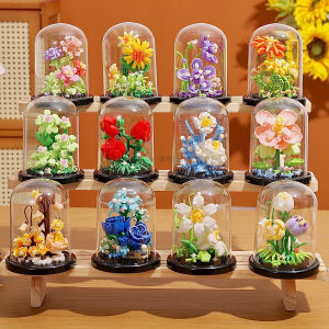 Quà Tặng Ngày Phụ Nữ Hạt Giống Hoa Hướng Dương Và Hoa Cúc Bó Hoa Cactus Bó Hoa Trang Trí Nhà Đồ Chơi Lắp Ráp Cho Bé Gái