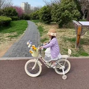 Lightweight Girls Beginner Bicycle 18/20 inch