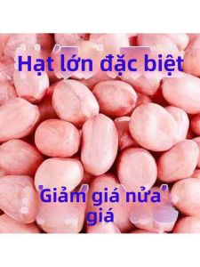 Đậu Phộng Sơ Chế Tươi Nguyên Hạt