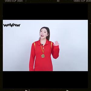 WAVAW | Durable Racket Badminton Racket
