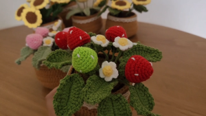 [SG Ready Stock] Finished Product Hand Made Crochet Flowers/Strawberries Potted Plant