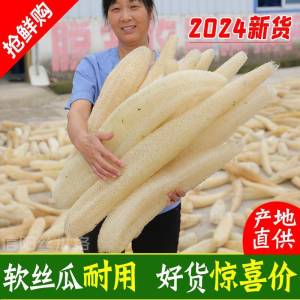 Natural Gourd Sponge Scrubbing Brush Pot Cleaning Tool Soft Old Water Gourd Seedling Dishwashing Cloth Bath Scrubbing Tool