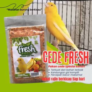 SUPERFIT FRESH CEDE KENARI