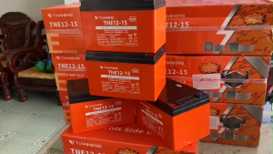 Bộ 4 bình Ắc quy xe đạp điện TIANENG 12-15 (12V-15AH) có thể dùng cho loa kéo năng lượng mặt trời