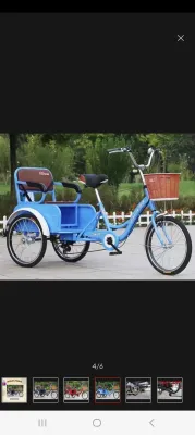 Tribike Cargo Passenger Bike for Adults