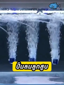 ปั๊มออกซิเจน ปั๊มลมบ่อปลา ปั๊มลม รุ่น ACO-208 ACO-318 ACO-308 ACO-388D ACO-500 ACO-380 Air Pump ปั๊มลมบ่อกุ้ง