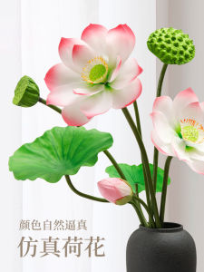 Bông Hoa Sen Giả Trang Trí Chụp Ảnh Đồ Dùng Trang Trí Nhà Giả Mạo Thực Tế Thiết Kế Vườn Bể Cá